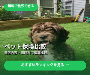 比較サービス
